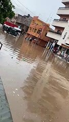 Un bus "Tata" s'engouffre sous les eaux de pluie