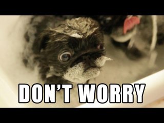 DON'T WORRY - Pawsitive Puppy