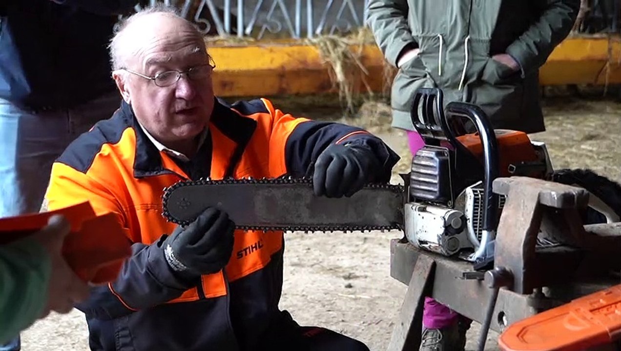 Utilisation de la tronçonneuse en sécurité