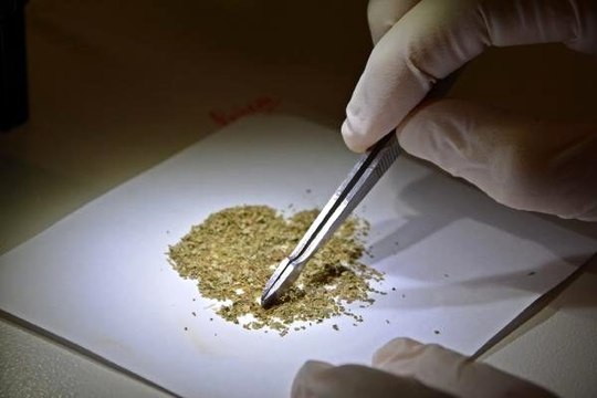 Bitki çaylarında korkutan laboratuvar sonuçları: Böcek parçaları, kaş ve kirpik bulundu