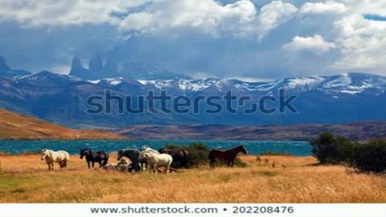 의성출장안마 -후불100%ョØ1ØM2997M5327｛카톡KC789｝-의성전지역출장안마 의성오피걸 의성출장마사지 의성출장안마 의성출장아로마 의성출장안마후기◑∱⊊의성출장샵풀코스예약