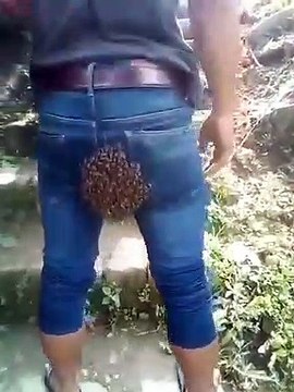 ఈ వీడియో చూస్తే తేనెపై విరక్తి కలగడం ఖాయం