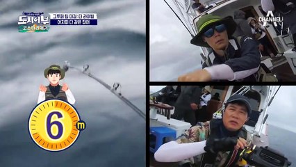 쁘띠 그루퍼 잡고 ↖애교 폭발↗ 보람좌를 넘어서는 광고 유망주 덕화^^