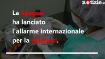 Listeria, la Spagna lancia l'allarme internazionale per rischio epidemia | Notizie.it