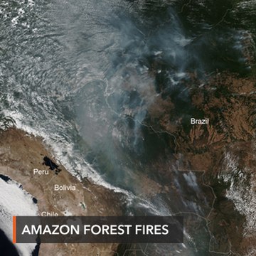 Forest fires in Brazil surge as deforestation accelerates