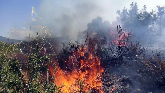 Fethiye'de orman yangını (2) - MUĞLA