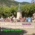 Digne : à 98 ans, la Foire de la lavande murmure à l'oreille des chevaux