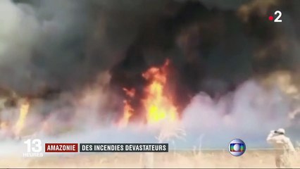 Amazonie : des incendies dévastateurs plongent São Paulo dans le noir