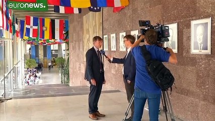 'Beviamo microplastica' l'allarme dell'Oms. Ecco cosa sappiamo