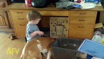 Boy Feeds Dog and Falls In Dog Dish