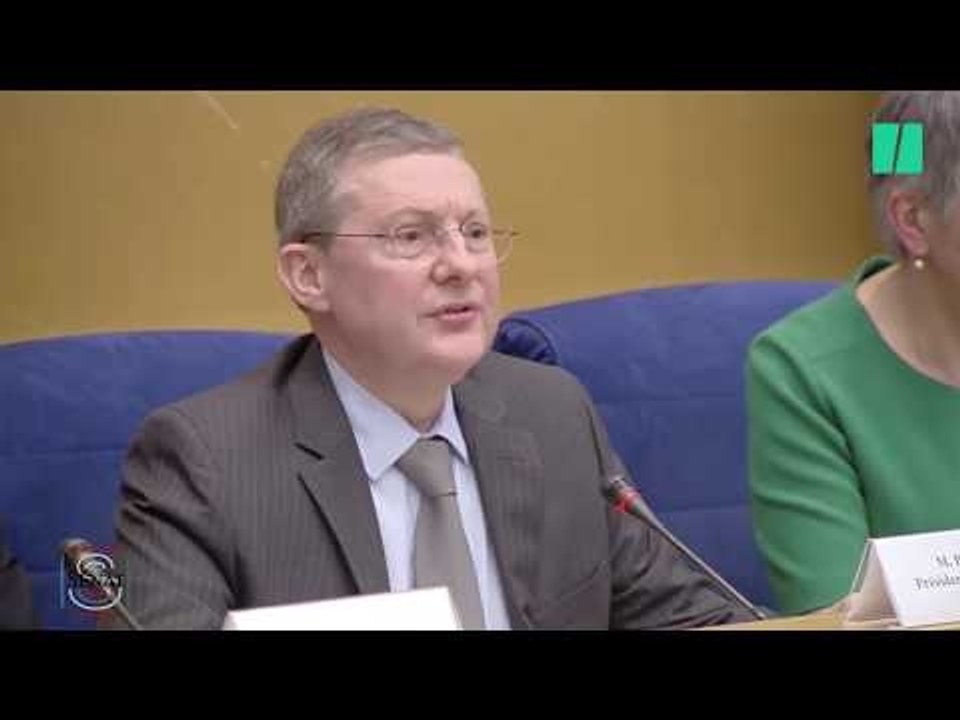 "Il n'y aurait pas eu d'affaire Benalla si une sanction appropriée avait été prise"