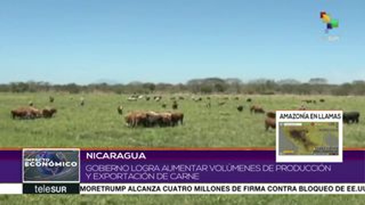 Nicaragua aumenta volúmenes de producción y exportación de carne