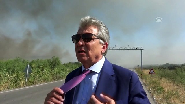 Edremit Körfezi'nde sazlık alanda yangın (4) - BALIKESİR