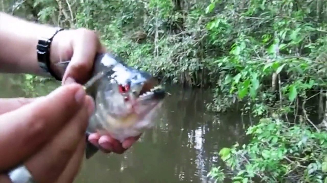 10 SCARY Fishing Videos Caught On Camera