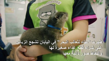 وسائل التواصل الاجتماعي تفاقم الخطر على الحيوانات المهددة بالانقراض