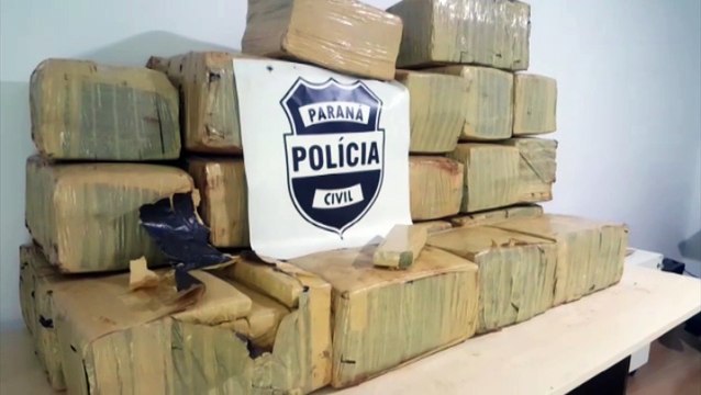 Denarc apreende quase 500 quilos de maconha em Cascavel