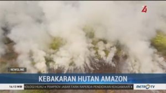 Luas Lahan Terbakar di Hutan Amazon Meningkat 84%