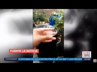 Cae granizo del tamaño de un limón en Michoacán | Noticias con Ciro Gómez Leyva