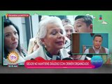 Olga Sánchez Cordero y el diálogo con el crimen organizado | Sale el Sol
