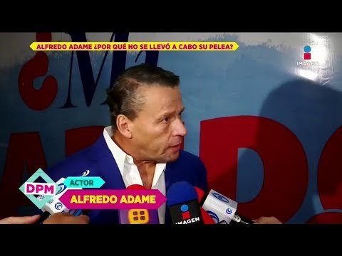 ¿Alfredo Adame tiene una orden de restricción contra Trejo? | De Primera Mano