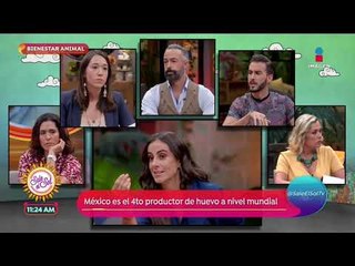 Sobre la mesa: ¿Los animales de granja merecen mejores condiciones de vida? | Sale el Sol