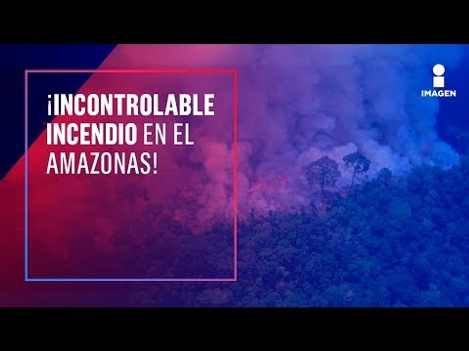 Fuertes imágenes del incendio en la Amazonia | Noticias con Ciro Gómez Leyva