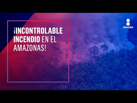 Fuertes imágenes del incendio en la Amazonia | Noticias con Ciro Gómez Leyva