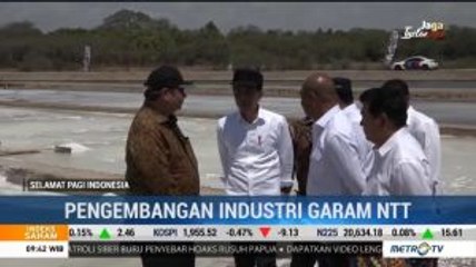 Jokowi Tinjau Panen Perdana Garam di Kupang