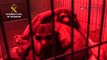 La Guardia Civil detiene a diez integrantes de una organización de tráfico de animales