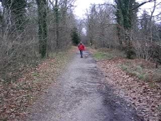 Zébulon fonce à Toulfoen
