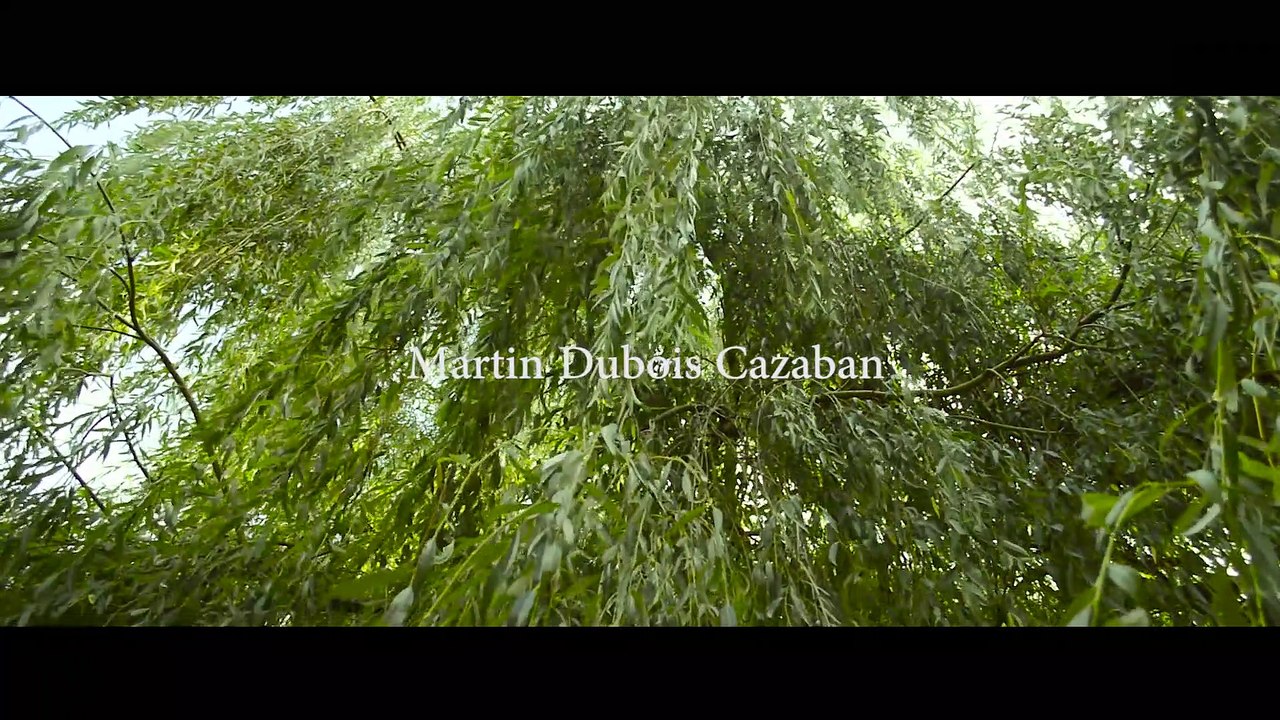 Essential Looting (court-métrage, 2019)