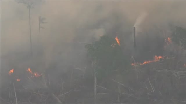 Las llamas devoran el principal pulmón del planeta