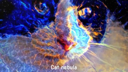 Cat Nebula