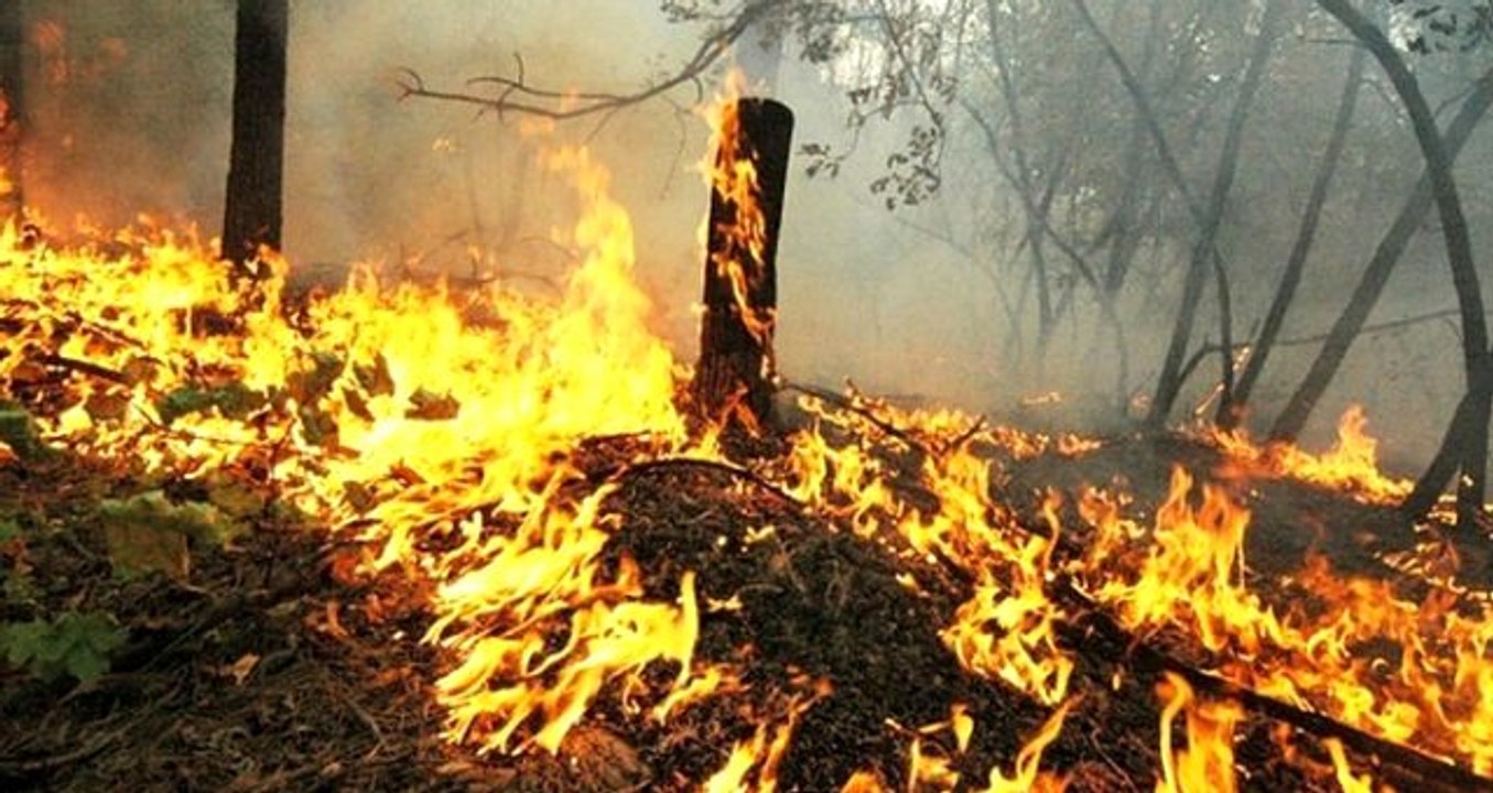 Marmaris'te polis 4 günde 4 yangının çıkmasının ardından eşkali belirlenen şüphelilerin peşine düştü