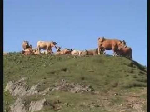 Les Puys Griou, Mary... Cantal
