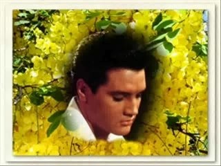 Don't cry Daddy,en hommage à Gladys et Vernon.