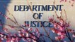 Report: Justice Department Sent White Nationalist Article Link To Immigration Judges