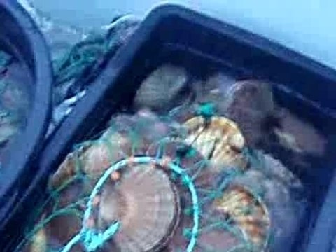 PA240558 Норвегия