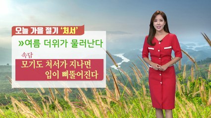 [날씨] 오늘 가을 절기 '처서'...낮에는 다소 더워 / YTN