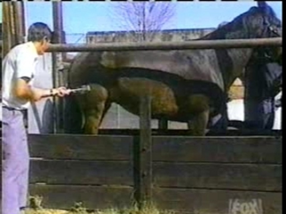 Defonce_par_un_cheval