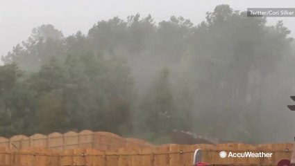 You might need more than an umbrella for this rain