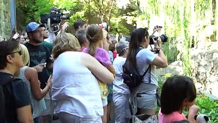 Bei Bei faz quatro anos