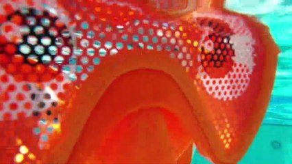 Disney Procurando Dory - Brincadeira na Piscina