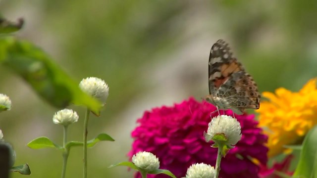 [날씨] 오늘 '처서', 선선한 아침...낮엔 다소 더워 / YTN