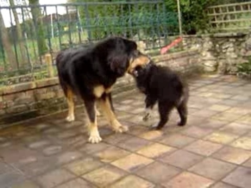 1ers jours Sangha & Kumbhu (suite)