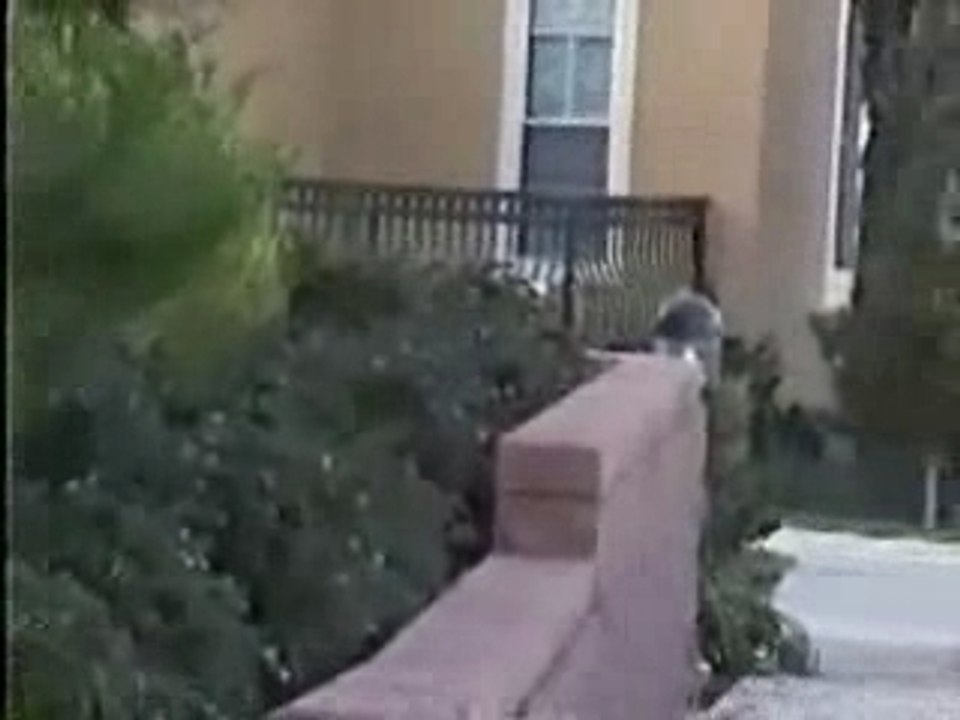 Loooong Rail Grind - UNORIGINAL.CO.UK]