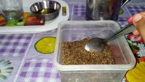 Benifits of flex seed milk,how to make flex seed milk  Indian jyoti