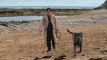 Mon chien Stupide Film avec Yvan Attal et Charlotte Gainsbourg