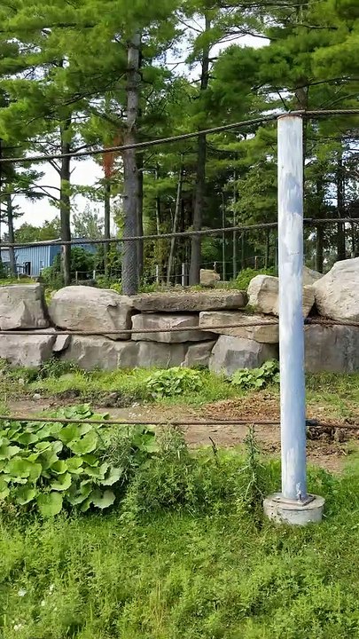 Park Zafari visit 2019[1]