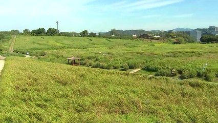 [날씨] 절기 '처서' 늦더위 계속...자외선 유의 / YTN